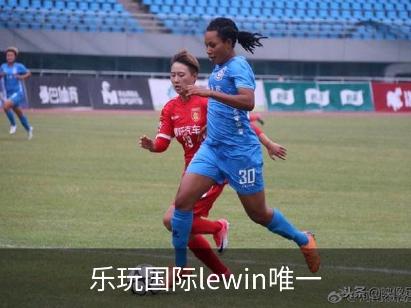 乐玩国际lewin唯一概况
